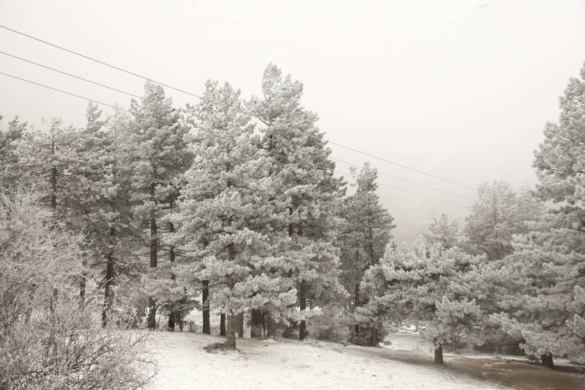 Στα «λευκά» Ηλεία, Μεσσηνία και Σέρρες: Χιονίζει σε Βίλια και Πάρνηθα – Εντυπωσιακά πλάνα