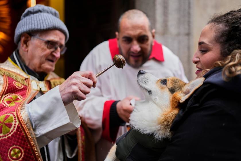 Spain Animal Blessing