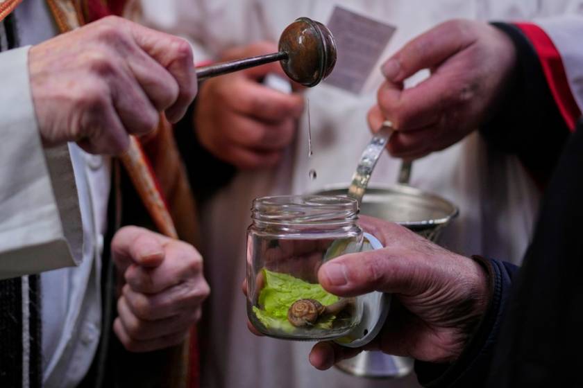 Spain Animal Blessing