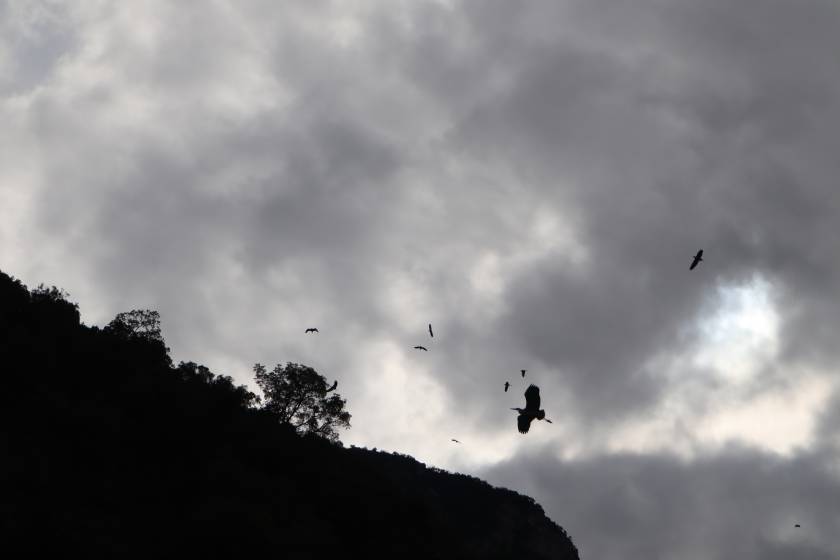 limni kremaston, kornoranoi