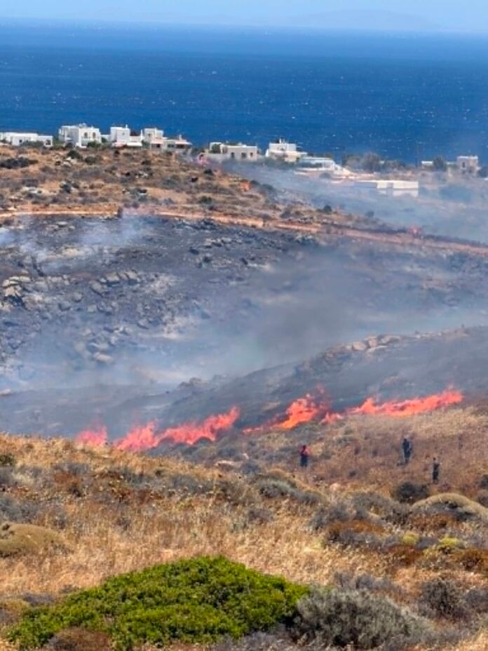 fotia syros