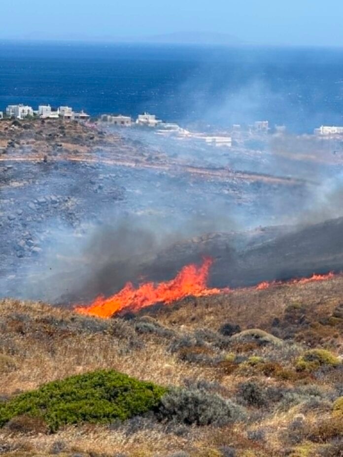 fotia syros