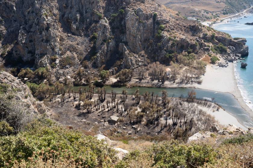 foinikodasos, rethymno, rethimno, fotia