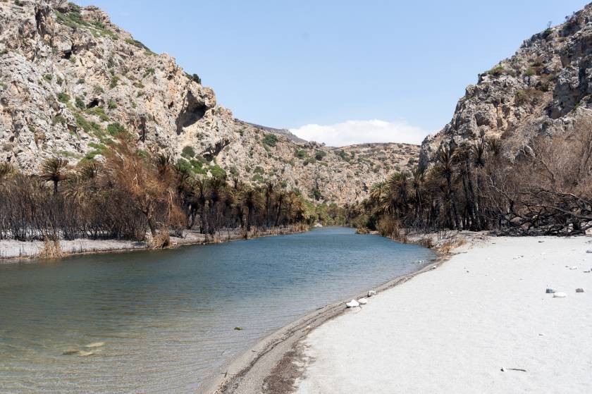 foinikodasos, rethimno, rethymno, kriti, fotia