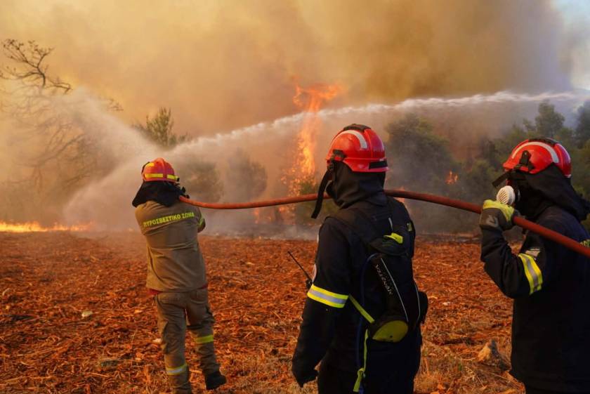 Πυροσβεστική φωτιά Βοιωτία