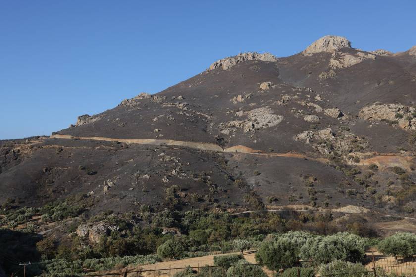 boiotia, kamena