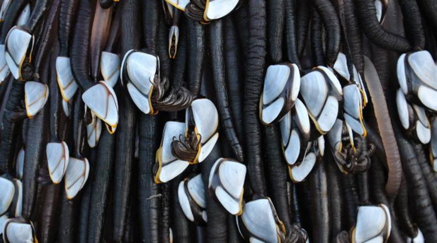 584d594ec46188a9628b4586