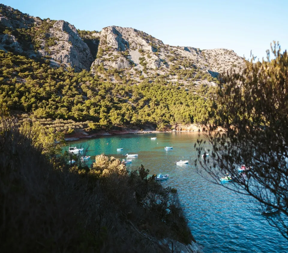 https://img.cnngreece.gr/img/960/max/80/2024/03/27/bruno-van-der-kraan-RWez3TGXnzs-unsplash.webp?t=gkuSK88IhaLd5NK1qv5gyQ