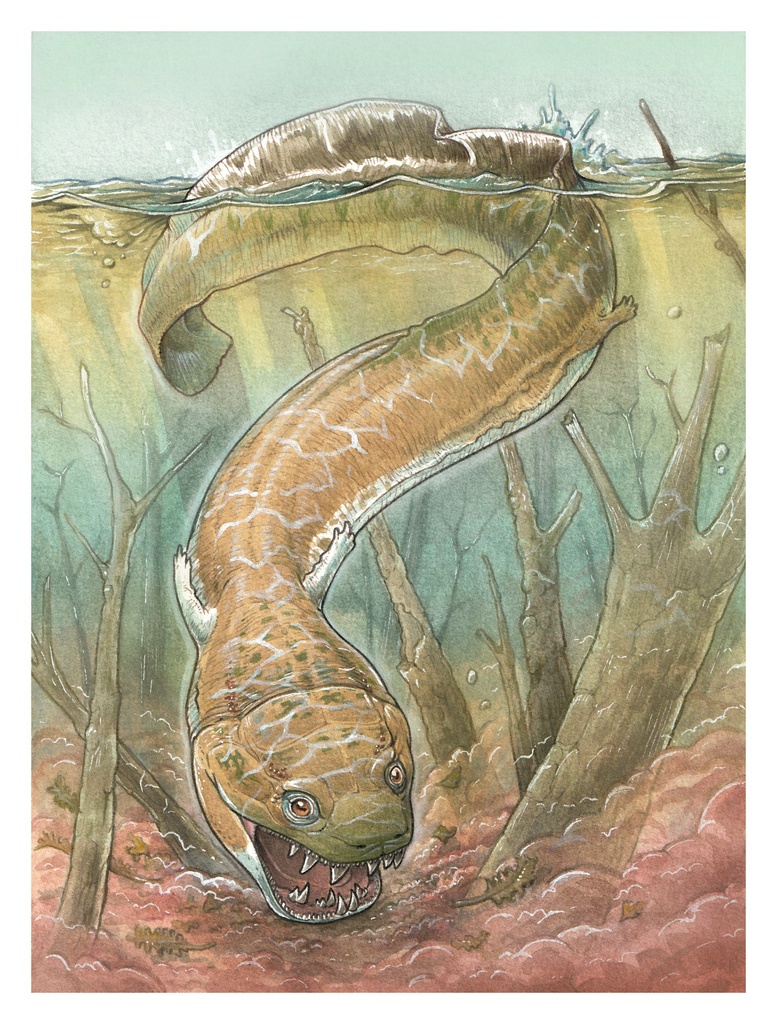 Prehistoric Salamander