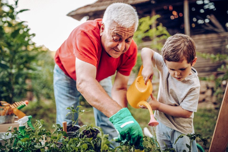 Grandfather and grandson in garden