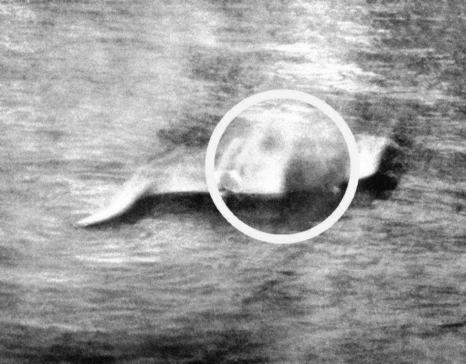 SOS GETTY ΜΑΚΡΙΑ!