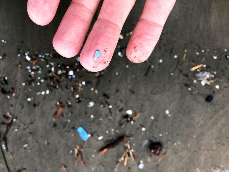 Microplastics Risk