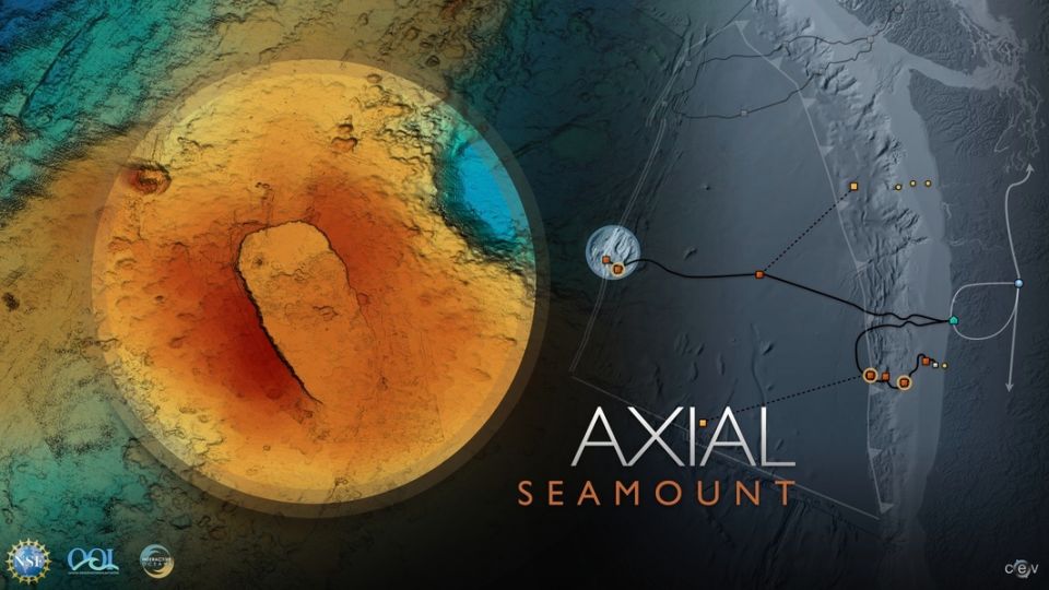axial_graphic