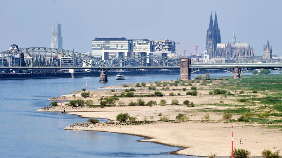 Drought, rhnos, rinos, rhine