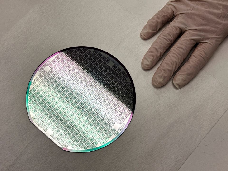 microchip, imiagogoi