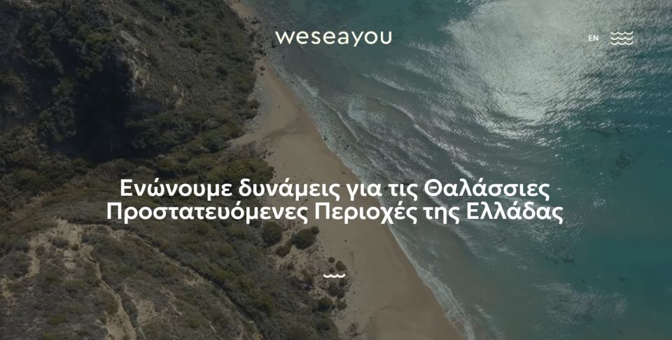 Weseayou.jpg
