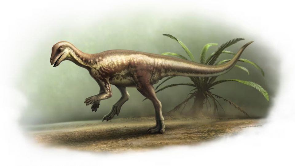 life-reconstruction-of-enigmacursor-mollyborthwickae-bob-nicholls-art.jpg