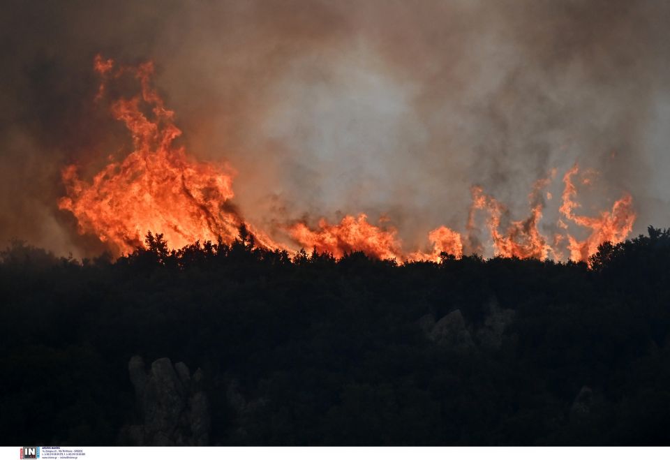 ΠΥΡΚΑΓΙΑ ΣΕ ΔΑΣΙΚΗ ΕΚΤΑΣΗ ΣΤΗΝ ΠΕΡΙΟΧΗ ΦΕΝΕΟΣ ΚΟΡΙΝΘΙΑΣ