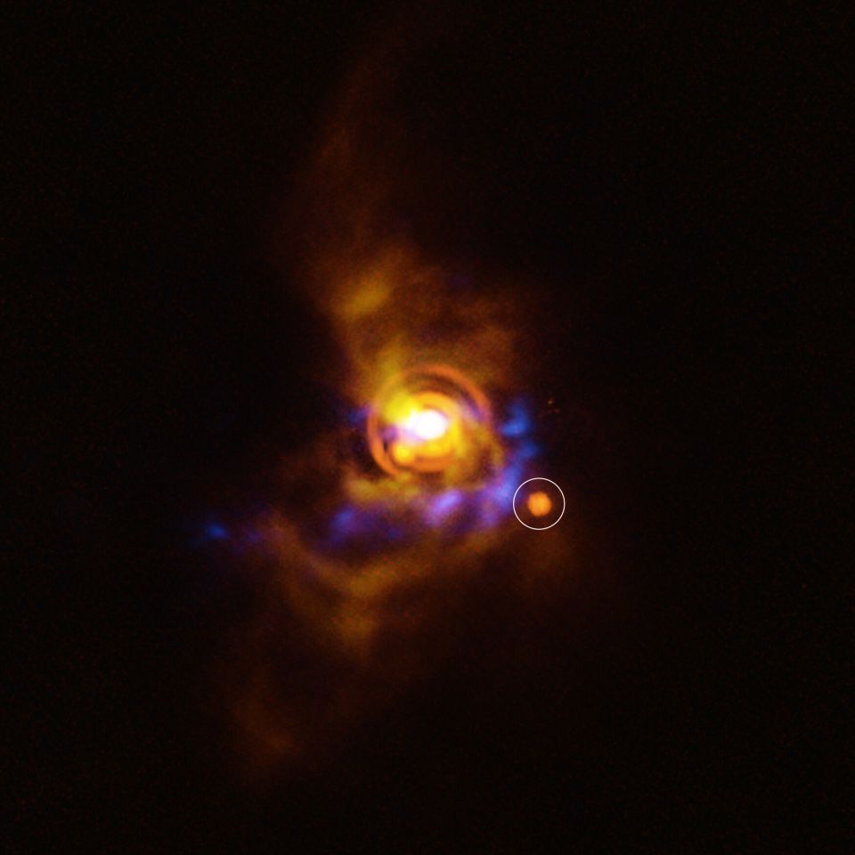 syntrofos astrou