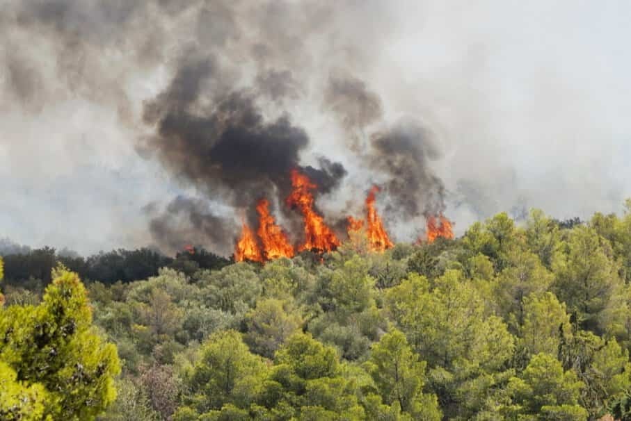 Φωτιά στην Πολυτεχνειούπολη Ζωγράφου: Οι πρώτες εικόνες από το σημείο