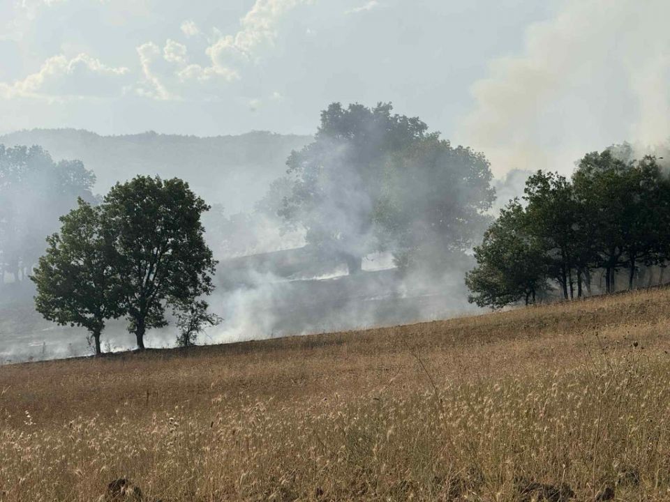 Φωτιά στην Αγναντιά Καλαμπάκας – Επιχειρούν ελικόπτερα και αεροσκάφη Φωτιά στην Αγναντιά Καλαμπάκας – Επιχειρούν ελικόπτερα και αεροσκάφη