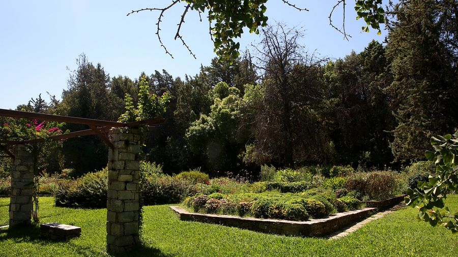 botanikos kipos diomhdous, diomidous