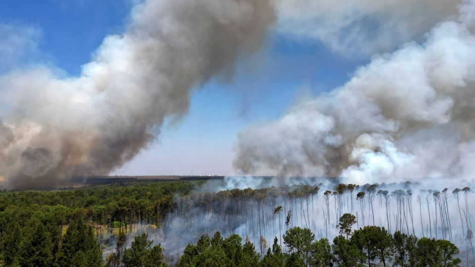 Amazon, amazonios