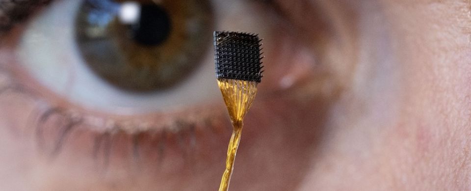 brain implant