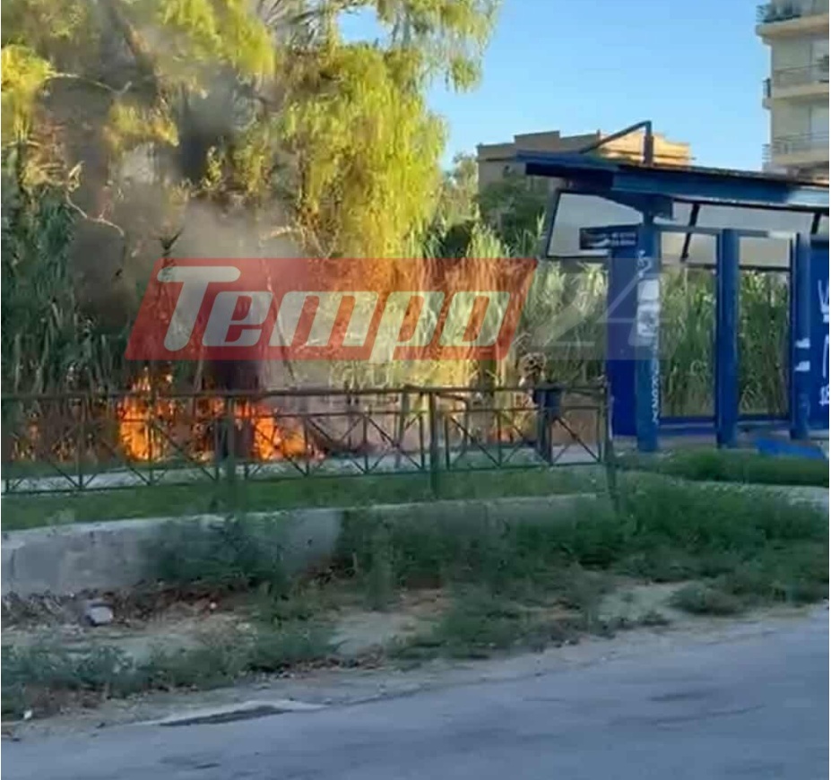 treno fotia agia patra proastiakos