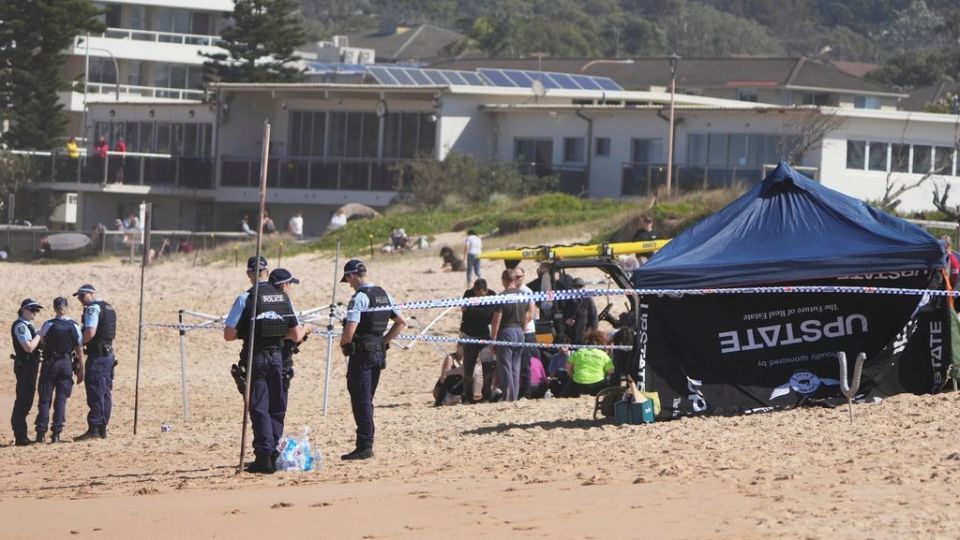 Australia Shark Attack