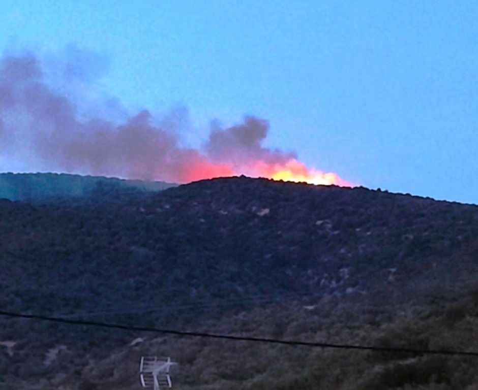 Συναγερμός στην Πυροσβεστική για φωτιά μεταξύ Διμηνίου και Σέσκλου στο Βόλο