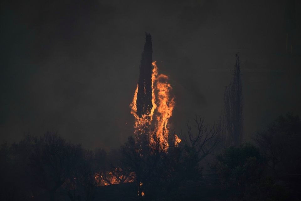 Wildfires, pyrkagies, pirkagia