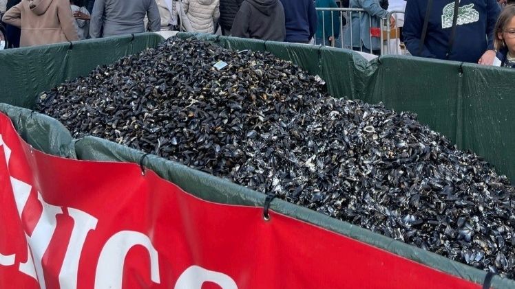 mydia Braderie de Lille moules