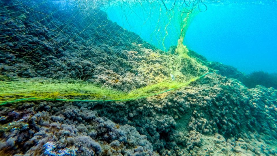 dixtya, alieutika ergaleia