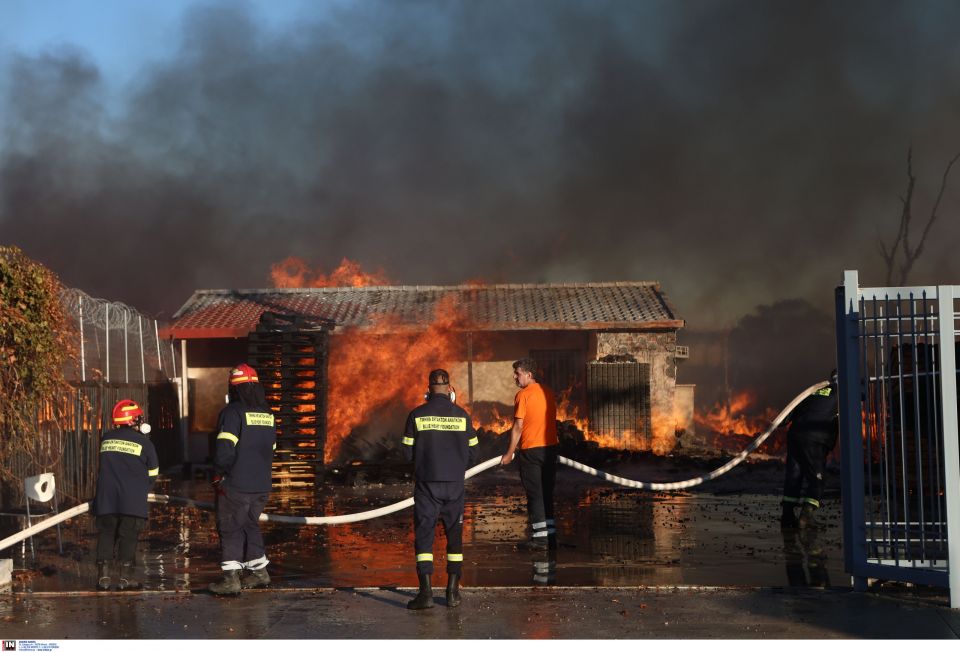 fotia pyrkagia menidi ergostasio xyleias