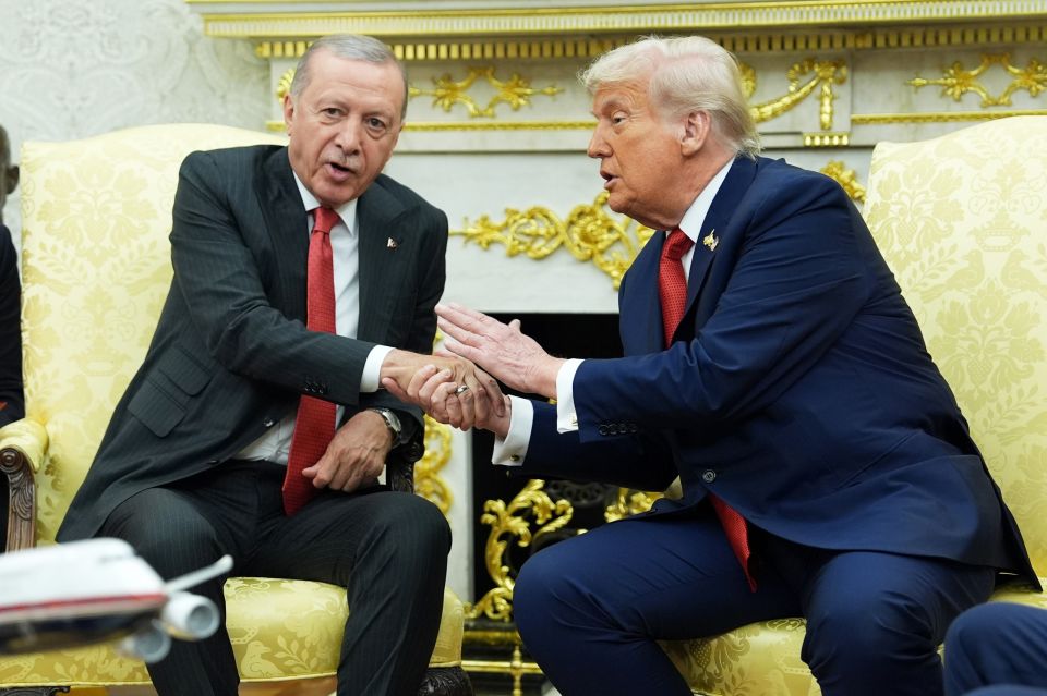 Trump-Erdogan