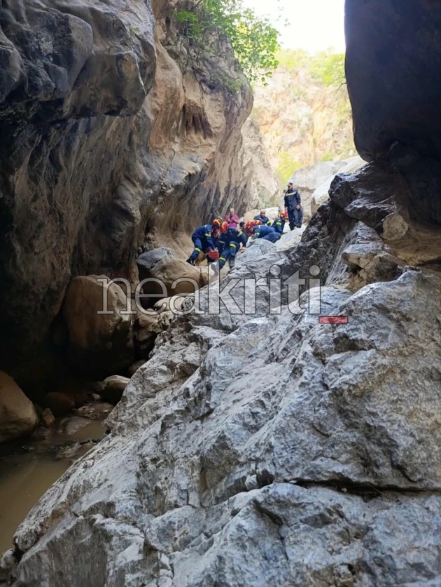 pezoporos travmatismos