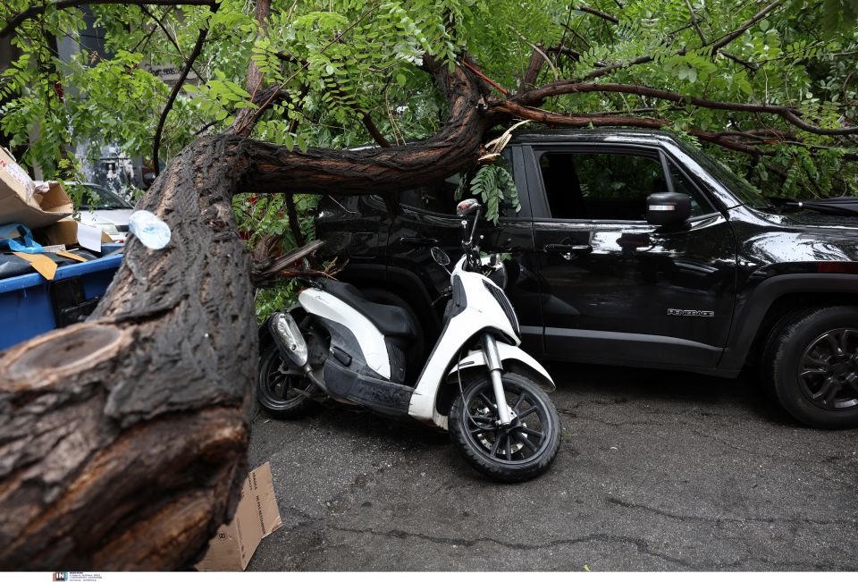 ΠΤΩΣΗ ΔΕΝΔΡΟΥ ΜΕ ΕΝΑΝ ΤΡΑΥΜΑΤΙΑ ΚΑΙ ΥΛΙΚΕΣ ΖΗΜΙΕΣ ΣΕ ΟΧΗΜΑΤΑ ΣΤΗ ΣΥΜΒΟΛΗ ΤΩΝ ΟΔΩΝ ΕΜ. ΜΠΕΝΑΚΗ ΚΑΙ ΓΑΜΒΕΤΑ ΣΤΗΝ ΑΘΗΝΑ