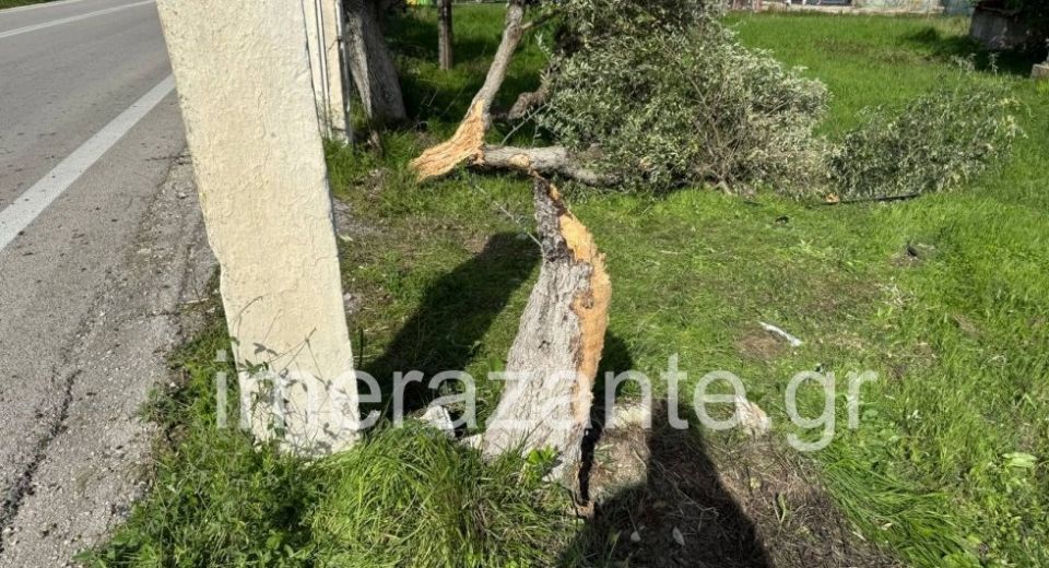 Ζάκυνθος: Νεκρός 48χρονος οδηγός – Το αυτοκίνητό του «καρφώθηκε» σε δέντρο Ζάκυνθος: Νεκρός 48χρονος οδηγός – Το αυτοκίνητό του «καρφώθηκε» σε δέντρο