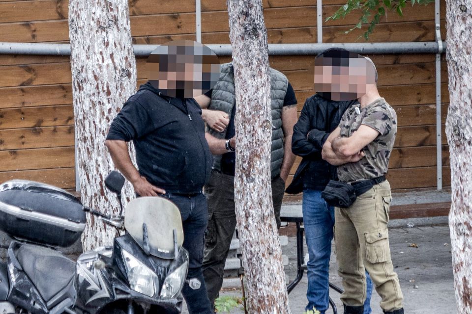 voriza kriti irakleio vedeta