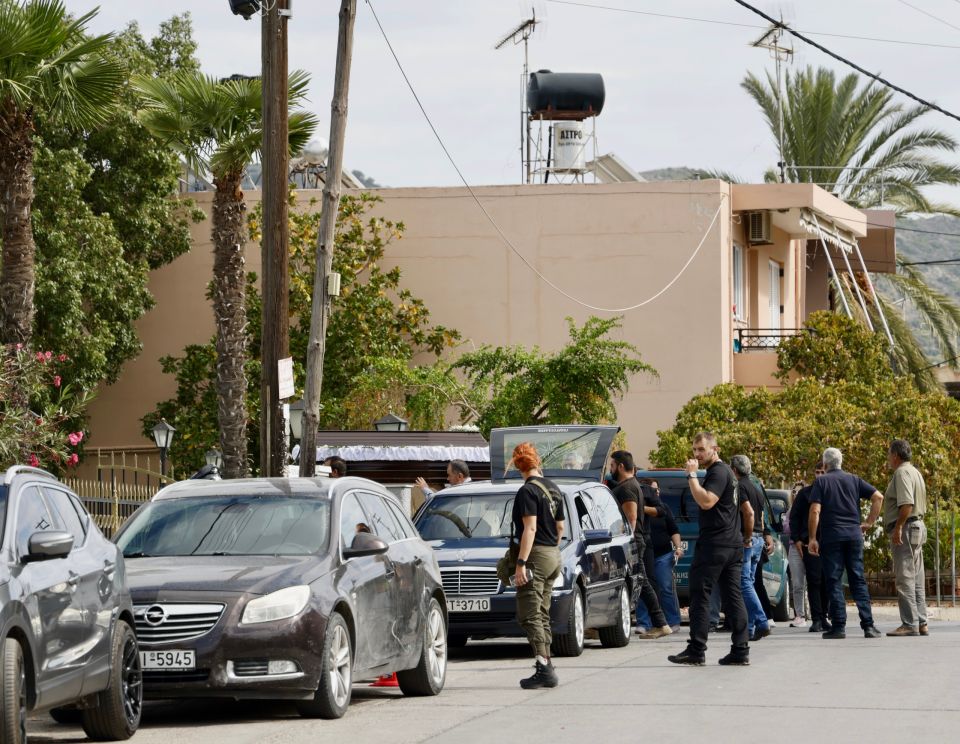 Kideia vorizia vedeta