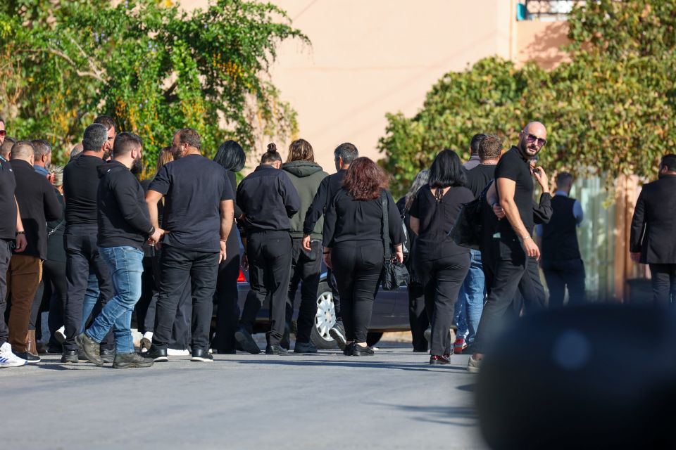 kidieia vorizia vedeta