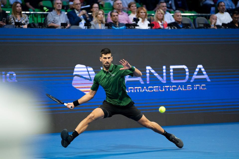 novak djokovic , tzokobits