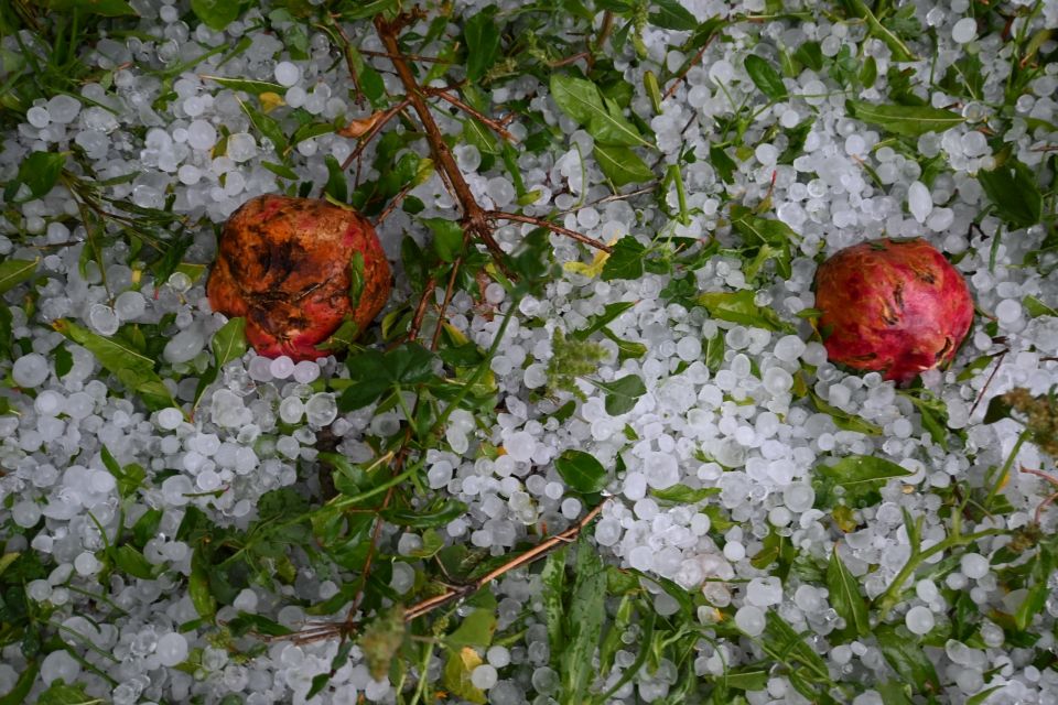 Σφοδρή χαλαζόπτωση στην Αργολίδα – Μεγάλες ζημιές σε καλλιέργειες