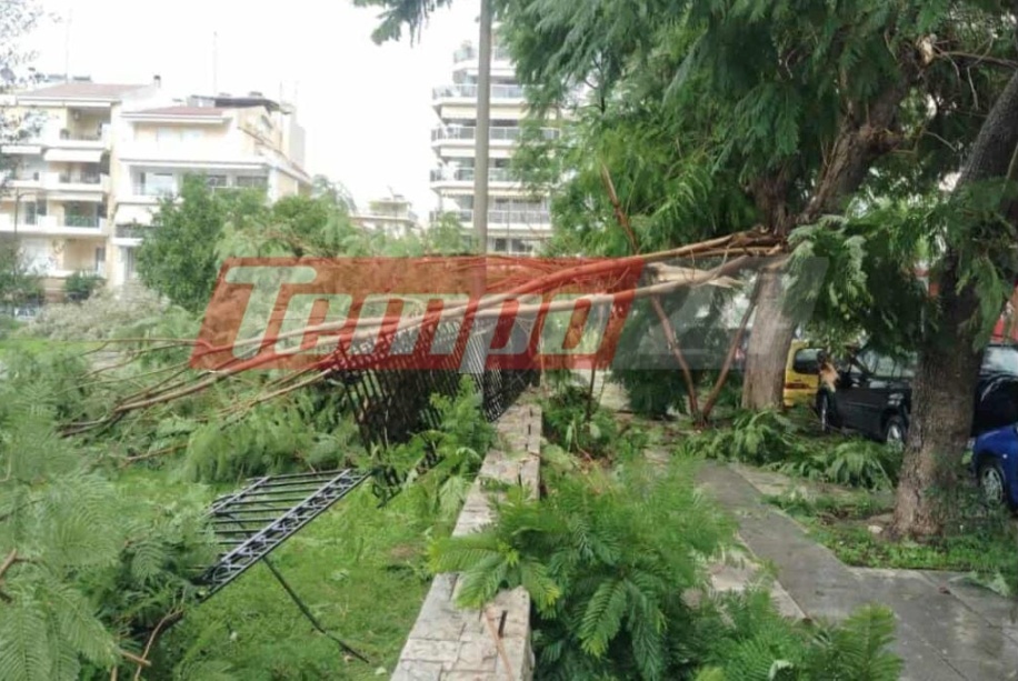 Ανεμοστρόβιλος «χτύπησε» την πόλη της Πάτρας: Ζημιές από πτώσεις δέντρων