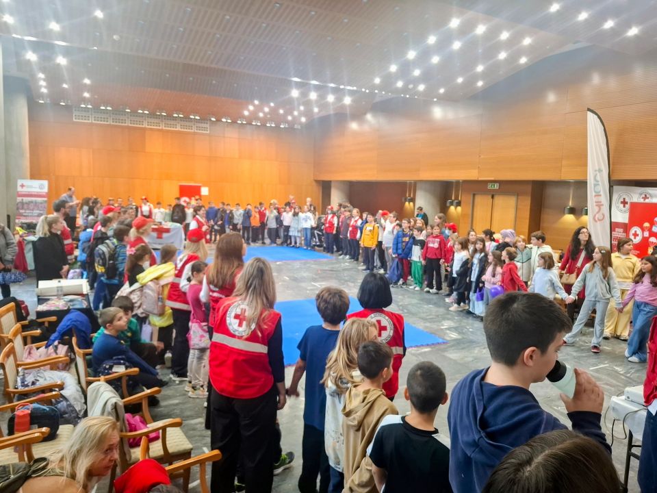 ellinikos erythros stavros