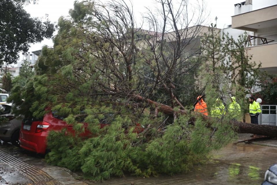 marousi kakokairia ptosi dentron