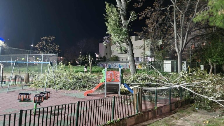 paidiki xara, xalandri