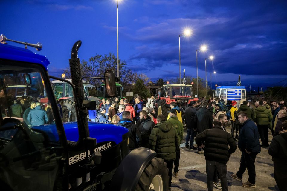 agrotes, mploka, mploko