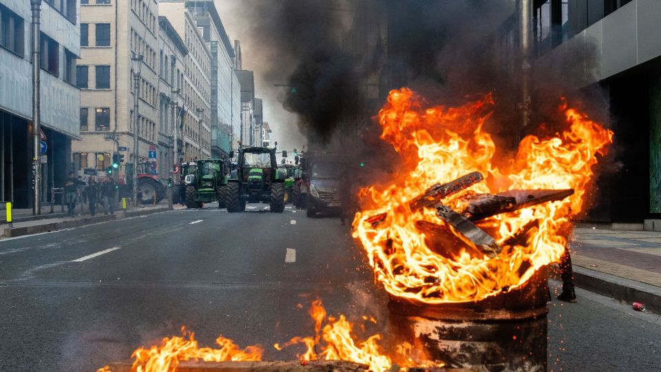 belgio, brussels, agrotes, farmers